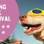 Spring Bark Festival On May 11