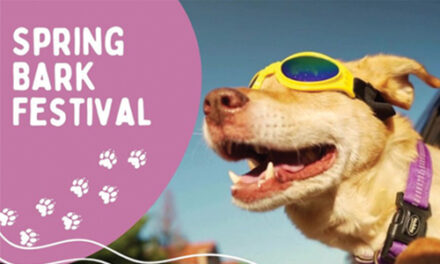 Spring Bark Festival On May 11