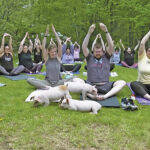 Three Little Piggies At A Yoga Class = Maximum Happiness