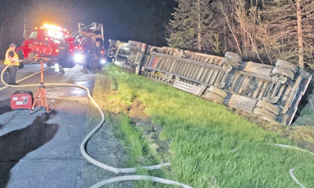 Most Of 15 Million Bees Contained After Bee-Laden Truck Crashes