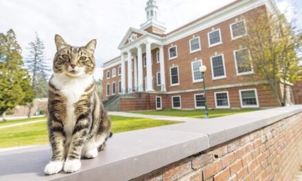 Max The Cat Is Now A ‘Doctor Of Litter-Ature’ From Vermont State University