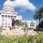 Workers Remove Dozens Of Apparent Marijuana Plants From Wisconsin Capitol Tulip Garden