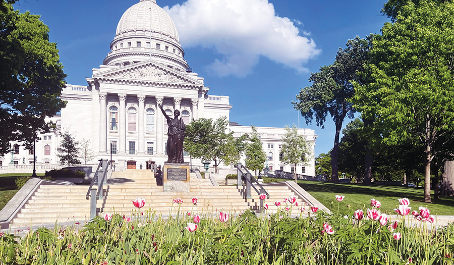 Workers Remove Dozens Of Apparent Marijuana Plants From Wisconsin Capitol Tulip Garden