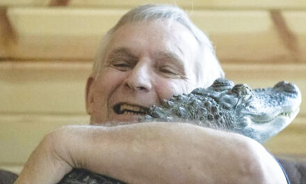 Man Says His Emotional Support Alligator Has Gone Missing