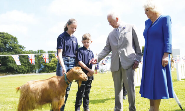 No Kidding! King Charles III Bestows Royal Title On Rare Golden Goat Breed