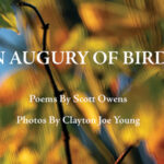 A Stunning Fusion Of Poetry And Photography In Collaboration With Clayton “Joe” Young