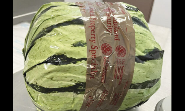 Methamphetamine Disguised As Shipment Of Watermelons Seized At US-Mexico Border