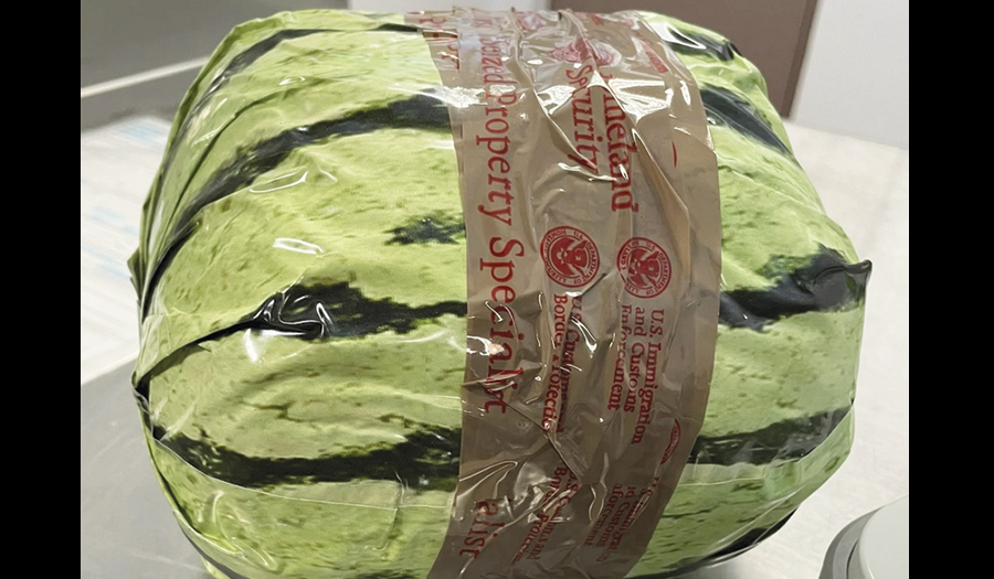 Methamphetamine Disguised As Shipment Of Watermelons Seized At US-Mexico Border