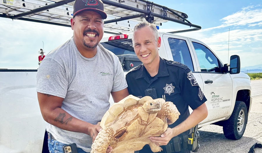 Tortoise Escapes Then Rescued From Arizona Highway