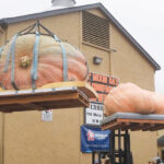 Pumpkin Weighing 2,471 Pounds Wins California Contest