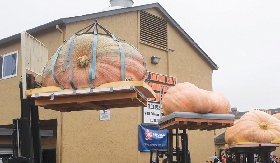 Pumpkin Weighing 2,471 Pounds Wins California Contest