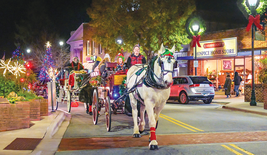 Come Home For The Holidays In Hendersonville