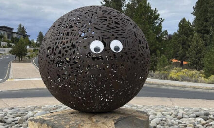 Mysterious Googly Eyes Go  Viral After Appearing On  Public Art In Oregon