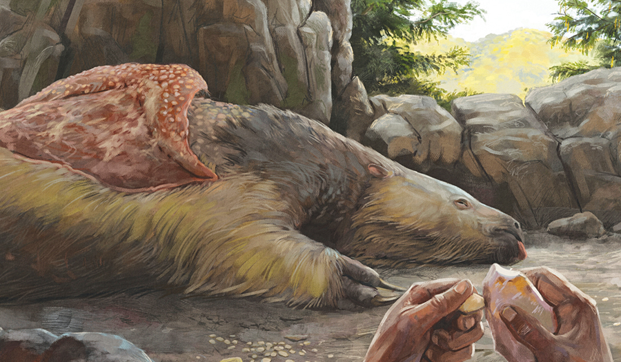 Giant Sloths And Mastodons Lived With Humans For  Millennia In The Americas