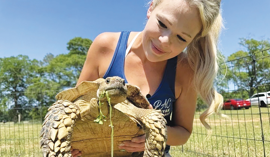 Pet Tortoise Is Reunited With Its Family Weeks After Disappearing In A Mississippi Tornado