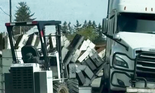 Millions Of Honeybees Abuzz After Truck Overturns