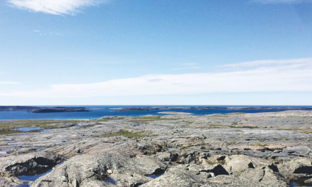 These Canadian Rocks May Be The Oldest On Earth