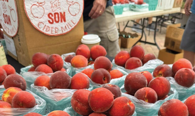 Seniors Morning Out Participants Head To Farmers’ Market In July
