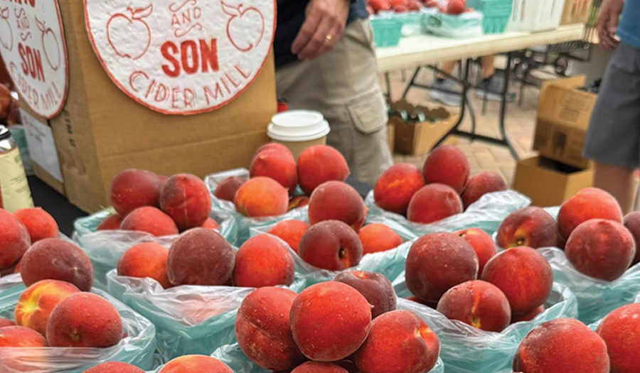Seniors Morning Out Participants Head To Farmers’ Market In July