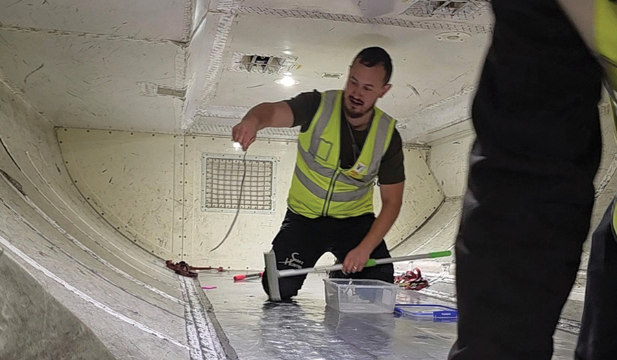 Snake On A Plane Delays A Flight In Australia