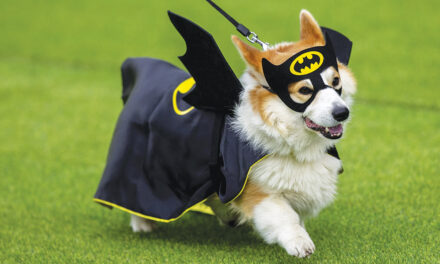 More Than 100 Teams Compete In International Corgi Race