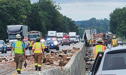 Hot Dog Spill Was Commuters’ Wurst Nightmare