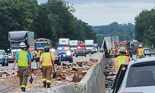 Hot Dog Spill Was Commuters’ Wurst Nightmare