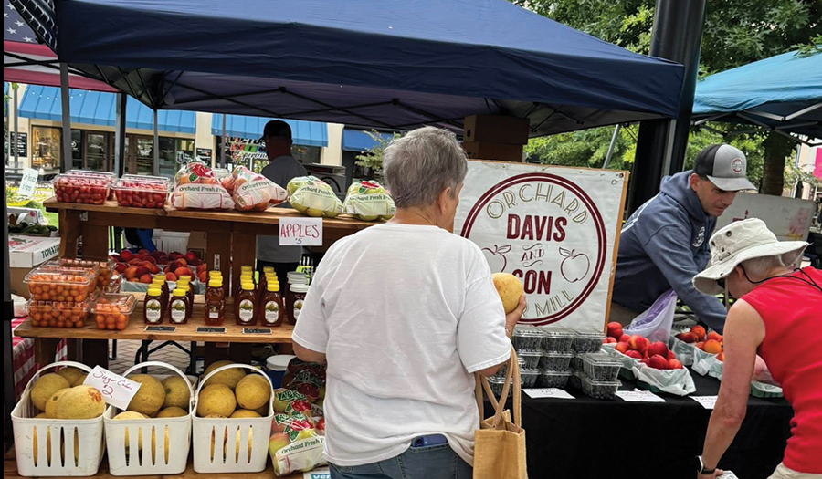 Seniors Morning Out Activities Throughout September