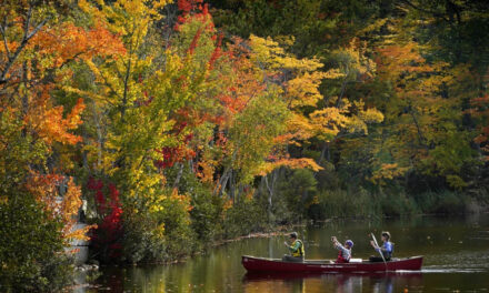 Day And Night Get Equal Billing Monday As Fall Equinox Arrived. Here’s What To Know