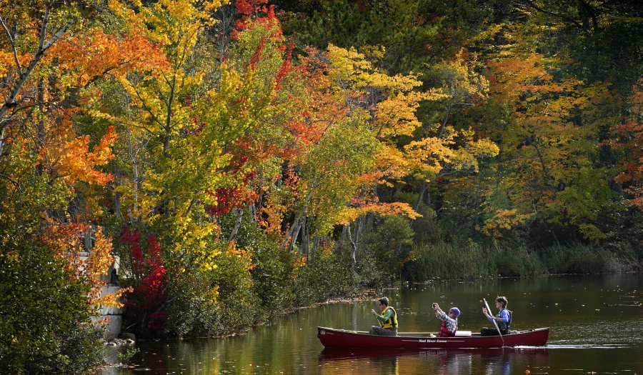 Day And Night Get Equal Billing Monday As Fall Equinox Arrived. Here’s What To Know