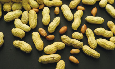 Advice To Feed Babies  Peanuts Early And Often Helped 60,000 Kids Avoid  Allergies, Study Finds