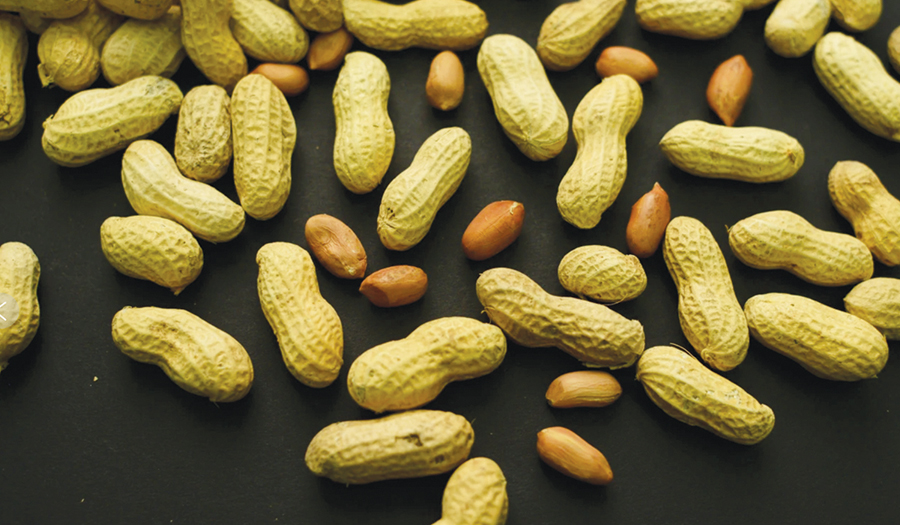 Advice To Feed Babies  Peanuts Early And Often Helped 60,000 Kids Avoid  Allergies, Study Finds