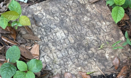 Lost Roman Artifact Turns Up In New Orleans Backyard