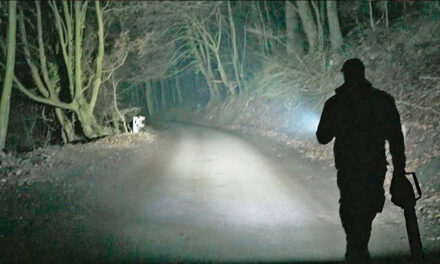 Within Reasonable Reason