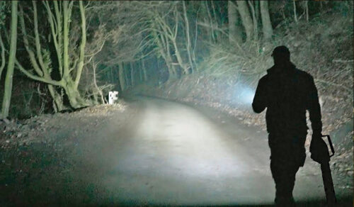 Within Reasonable Reason