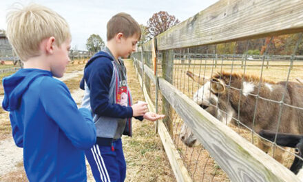 Rescue Ranch To Host Outdoor Explorers Day, November 11