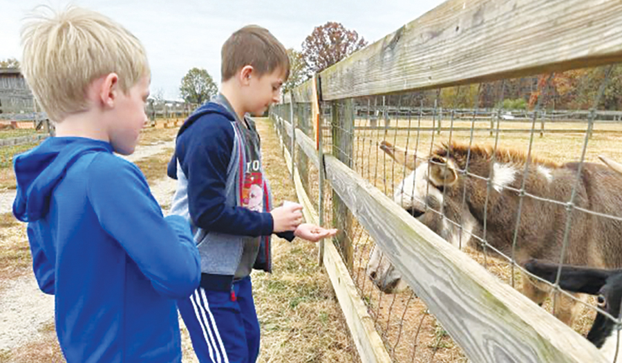 Rescue Ranch To Host Outdoor Explorers Day, November 11