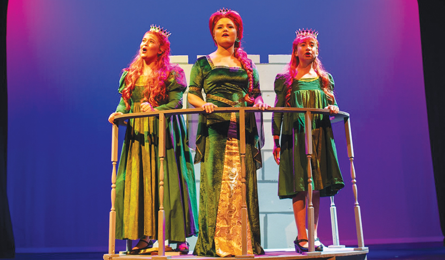 Last Weekend To See Shrek At The Green Room