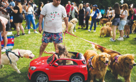 A Symphony Of Woofs: This Is What Happens When 2K Golden Retrievers Gather Together