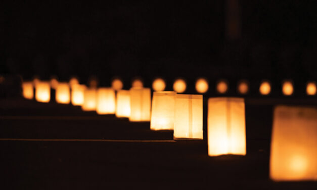 Light Up A Life Luminary  Display On Tues., December 9