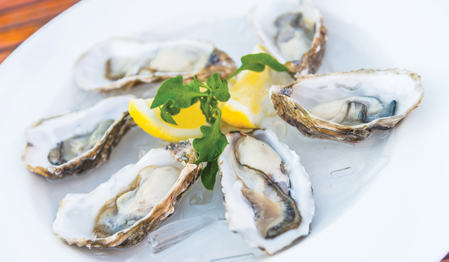 Newton Elks Lodge To Host Oyster Roast, January 10