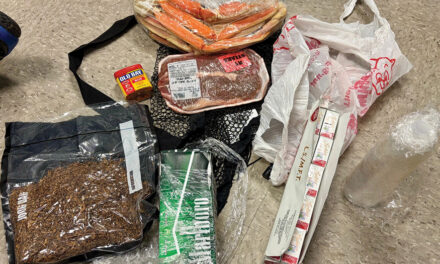 Drone Drops Steak And Crab Legs For Prisoner Feast But  SC Guards Find It First