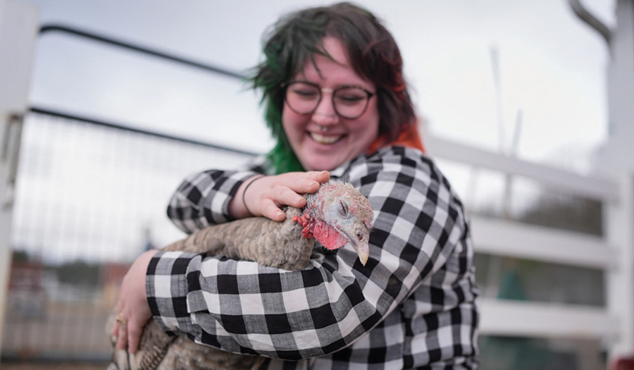 At The Gentle Barn, Turkeys Are For Snuggling, Not Stuffing At Thanksgiving