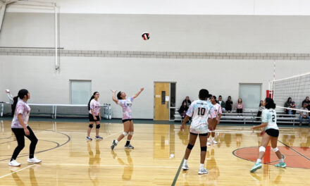 City Of Hickory’s Volleyball Registration Is Now Open