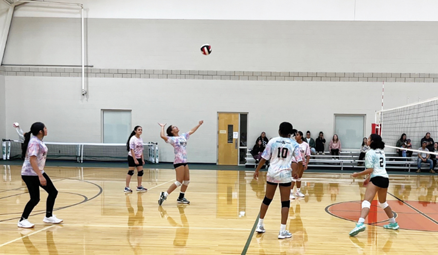 City Of Hickory’s Volleyball Registration Is Now Open