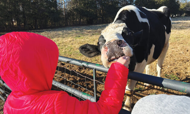 Rescue Ranch’s Outdoor  Explorers Day, January 19