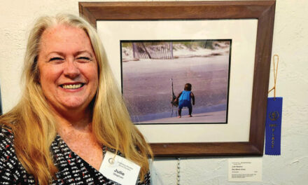 See The Wild Metropolis And FCA Member Show