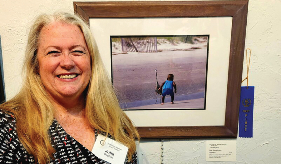 See The Wild Metropolis And FCA Member Show