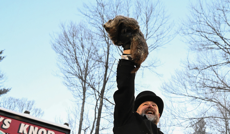 Punxsutawney Phil Predicted Six More Weeks Of Winter