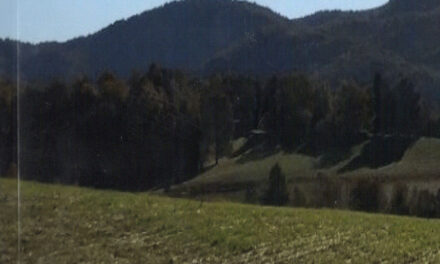 The Land Family Tragedy